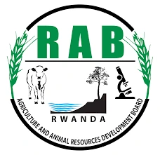 Rwanda Agriculture Board